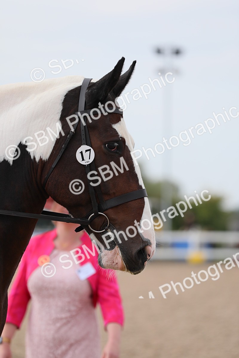 SBM_16943 - Class 314 Family Horse/Pony
