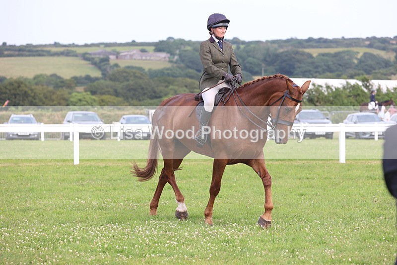 JPP_4513 - Class 26: Working Hunter 1m
