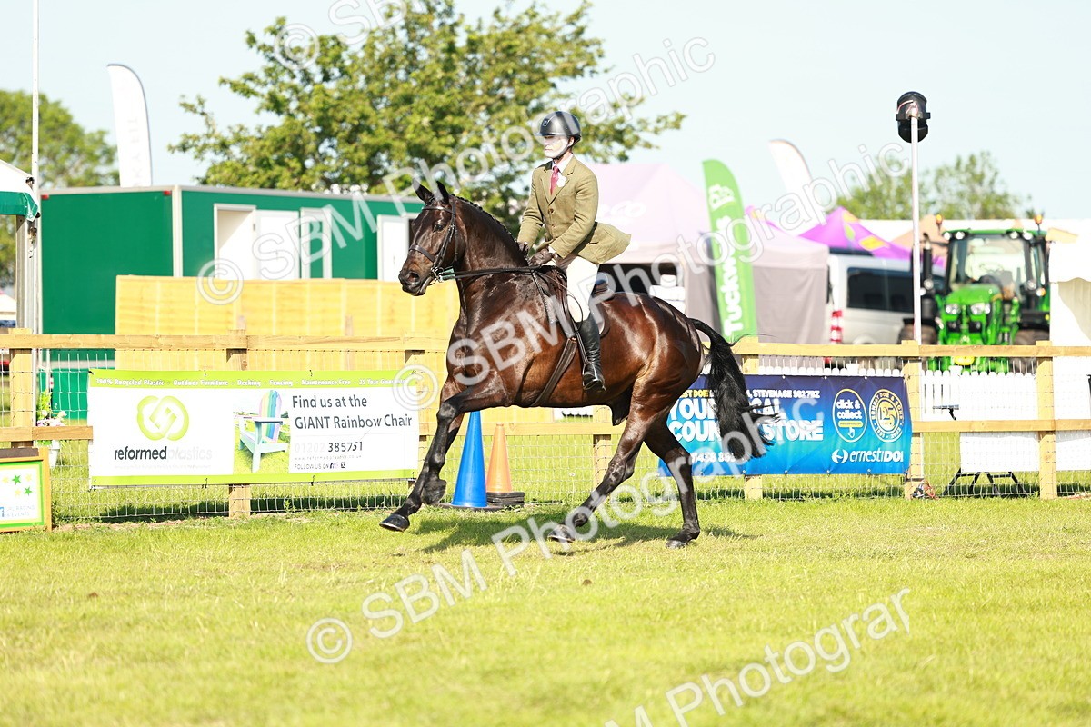 SBM_10931 - Class 66-69 - RIHS Ridden Hunters Inc Small Hunter