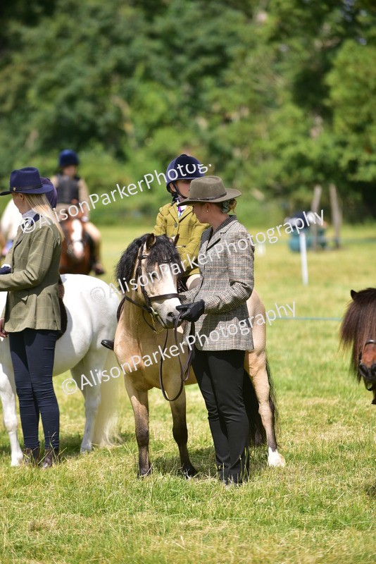 20260614-1202 - Class 11a - Lead Rein Pony (Unplaited)