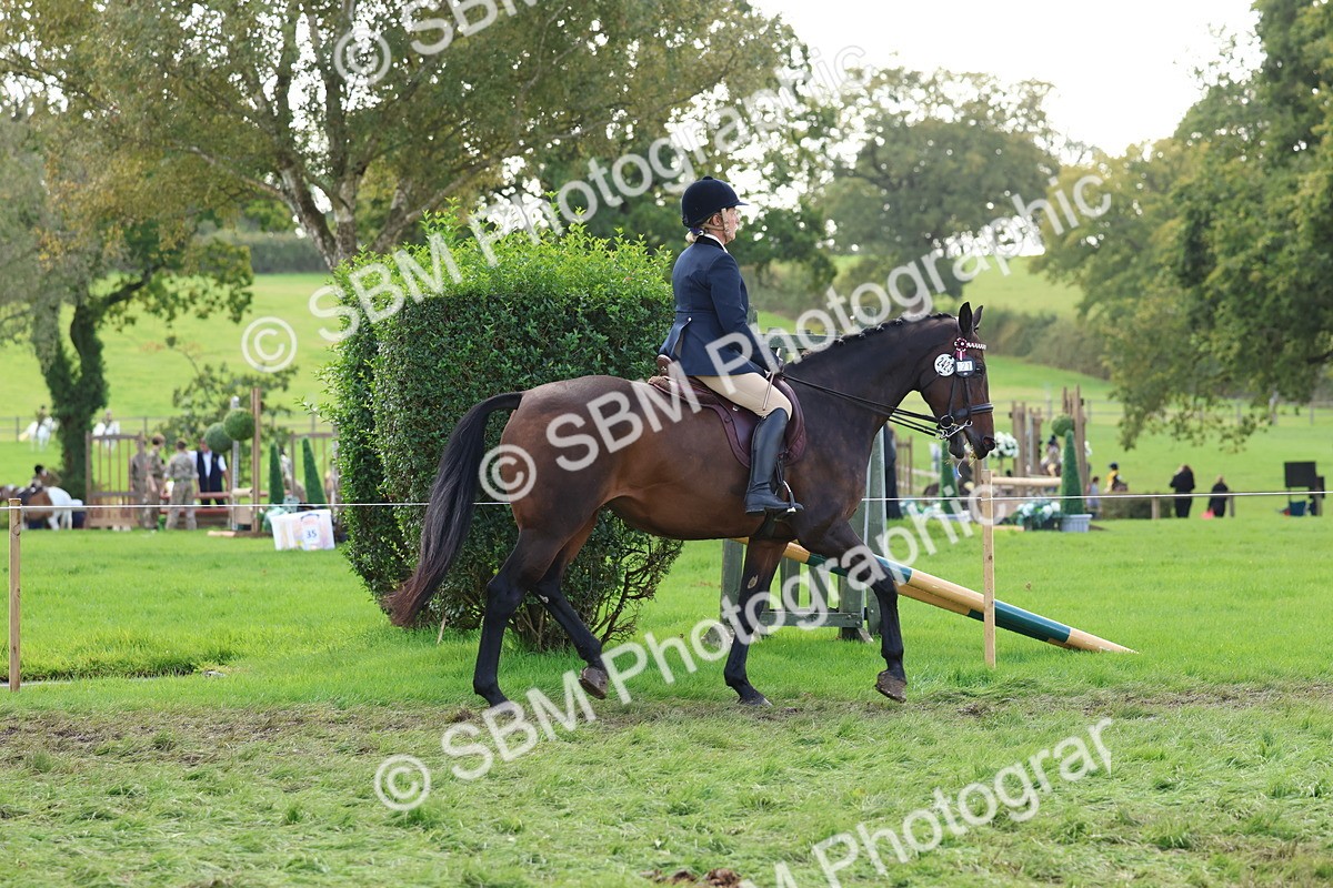 SBM_47612 - S28 - Veteran Ridden