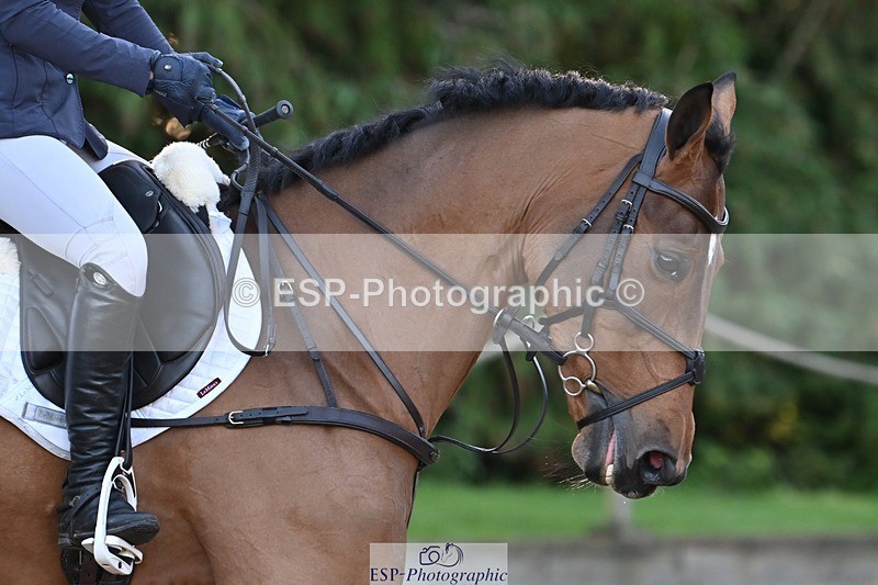 231022-093810-23024 - 241-HILDARE.HERMITAGE-Danielle.Mccormack-SJ