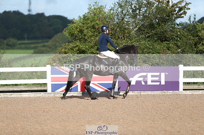 230811A-090012-02759 - Cls 13 A&B Snr Brit Nov & 90cm Open