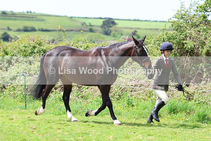 3E7A0468 - Class 20: Sports Horse