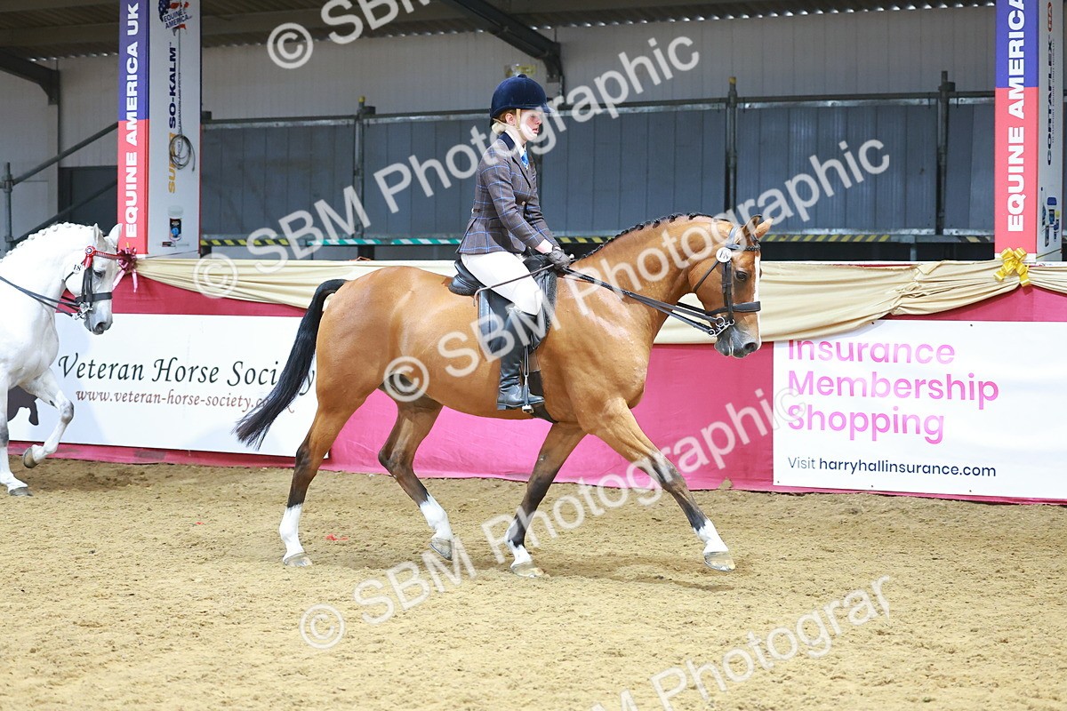 SBM_12466 - Class 103 - HOYS Veteran Qualifier - Ridden Pre Vet