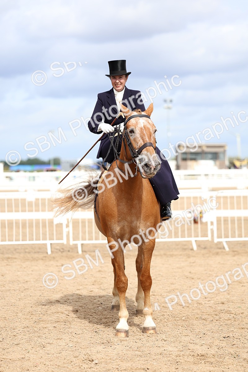 SBM_03335 - Class 23 - SSA Classical (any age)