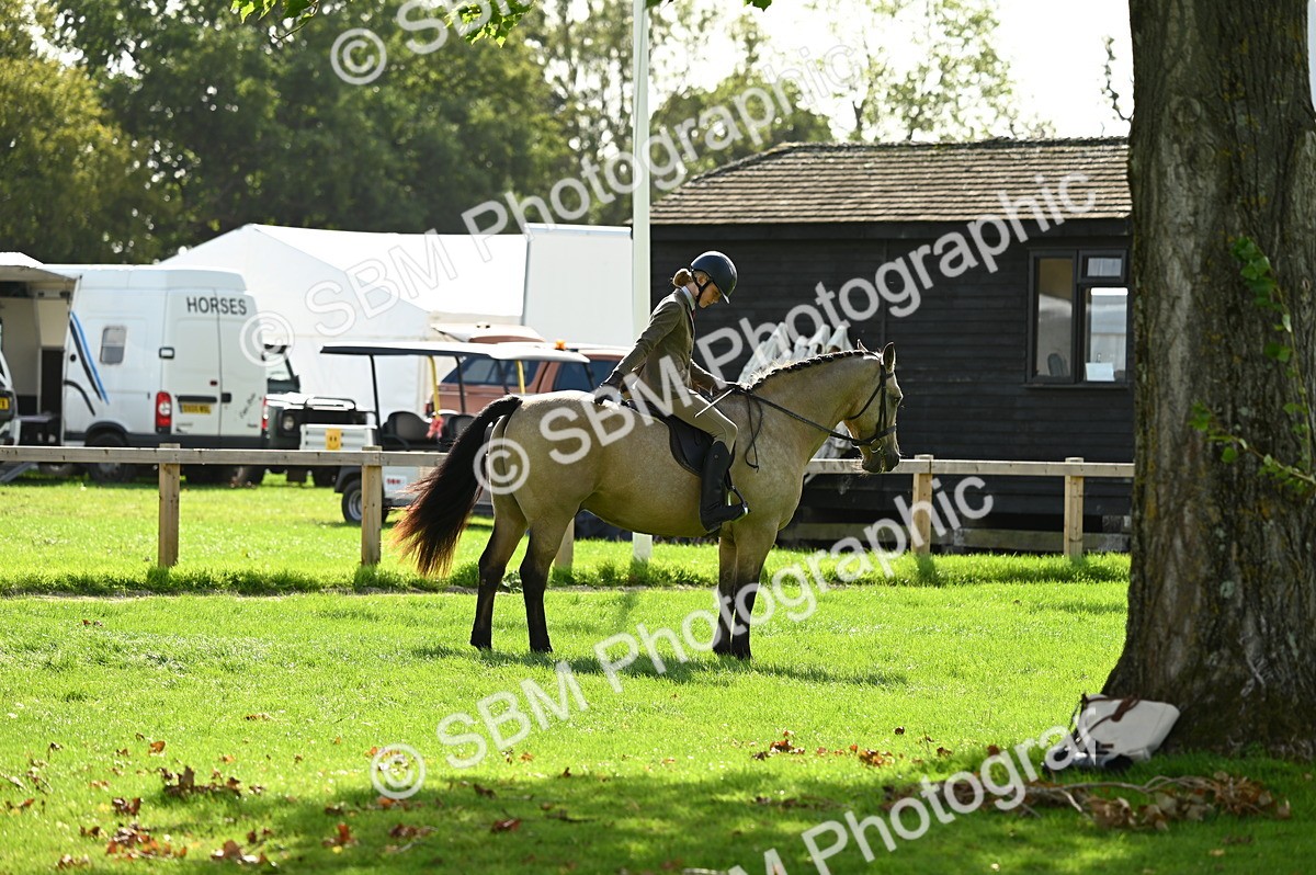 SBM_01912 - S2 - TSR Ridden Horse Showing