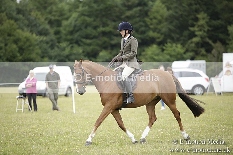 BVR160717-1037 - Ring 1 BVRC Show 16/07/17