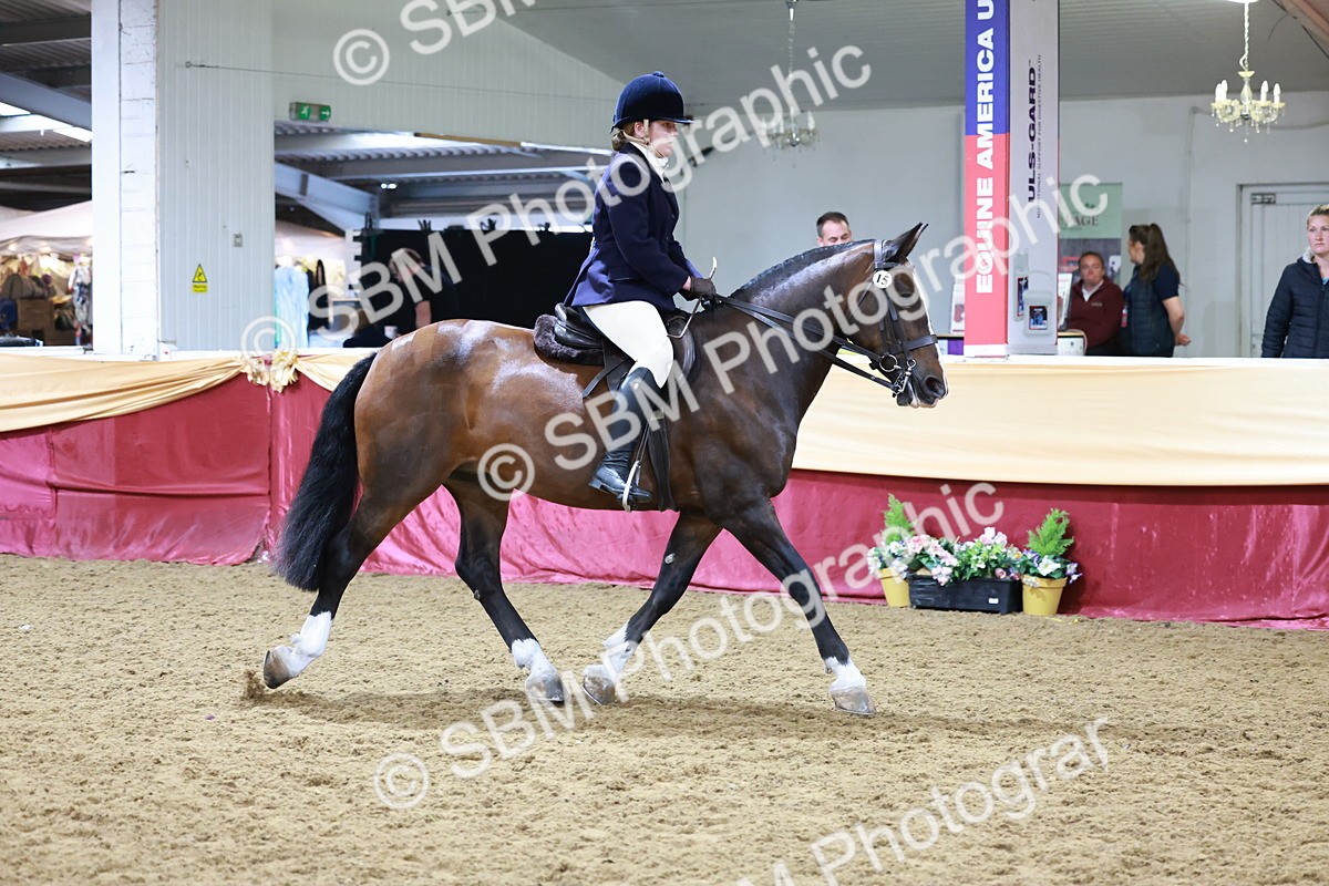 SBM_20016 - Class B - Junior Champ 11yr to 16 Years