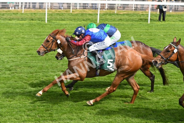 yr12052022r3-20 - Race 3 3.00pm The Paddy Power Hambleton Stakes