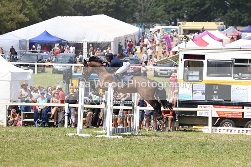 3E7A3400 - Class 10: Senior Foxhunter/1.20 open