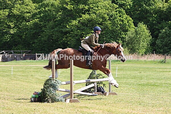 IMG_4330 - Working Hunter