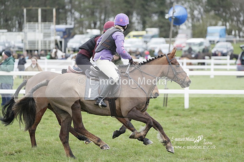 PtP 260323 0092 - New Forest Hounds Point-to-Point Larkhill 26/03/23