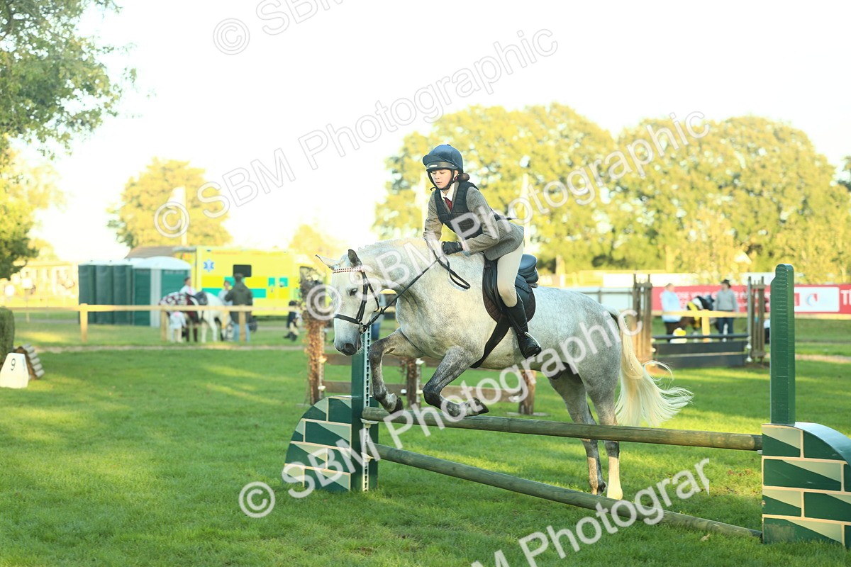 SBM_56480 - S14 - Riding Club Horse