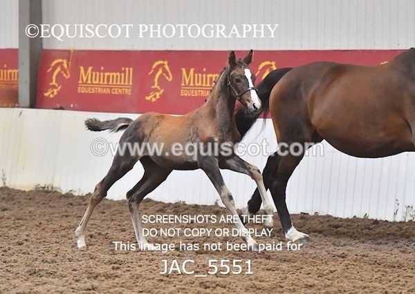 JAC_5551 - 13 Zi Real McCoy