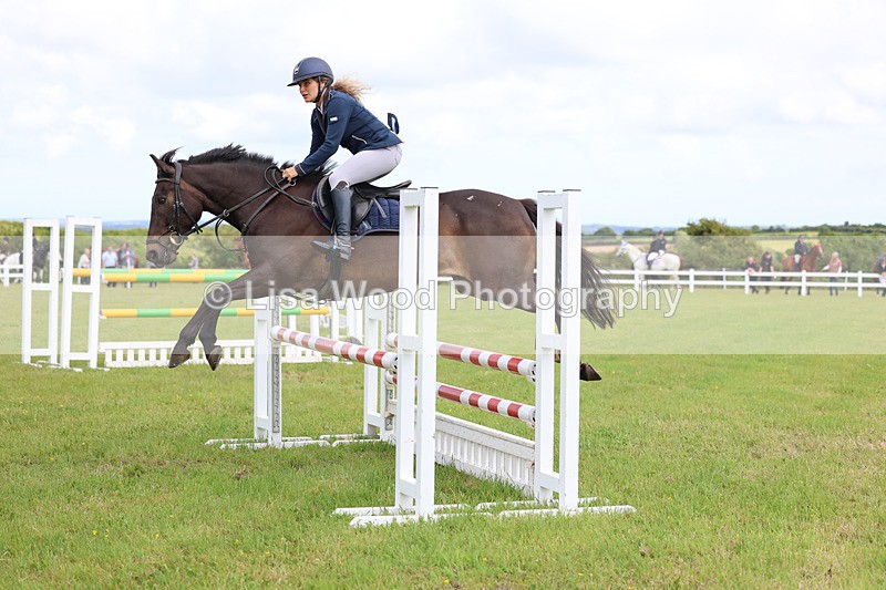 3E7A7600 - Class 13: Senior British Novice/90cm open