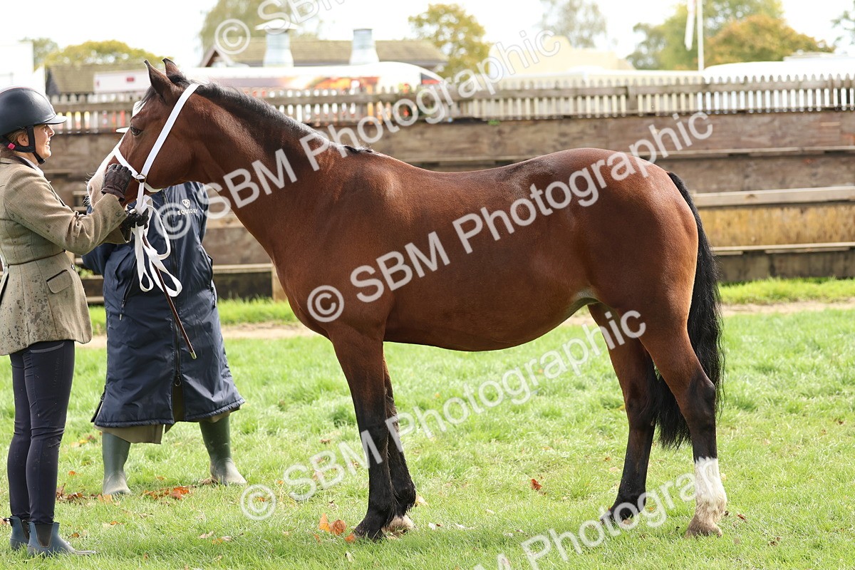 SBM_40766 - S25 -  Veteran In Hand