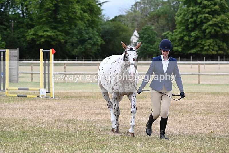 WJ6_4294 - Class 10 Coloured In-hand