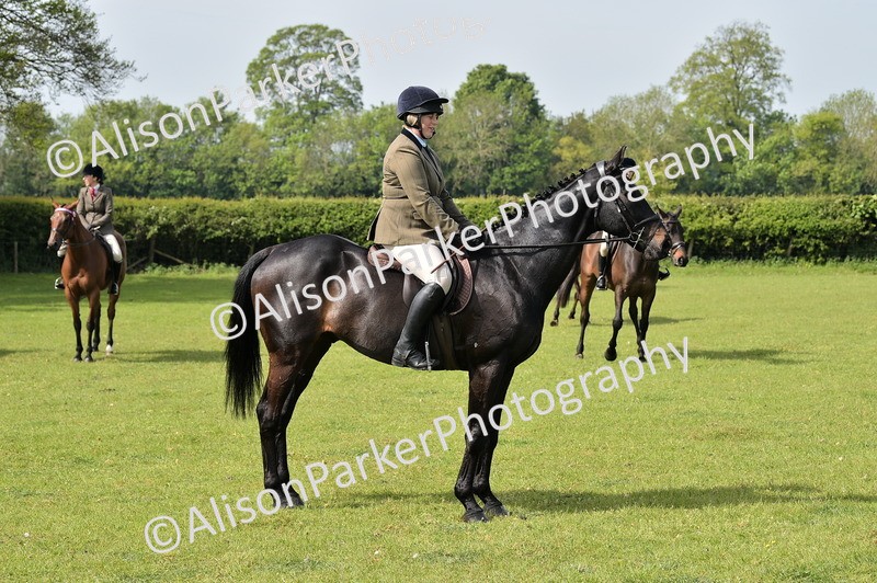 20260426-1155 - Class 19 - Retraining Of Racehorses
