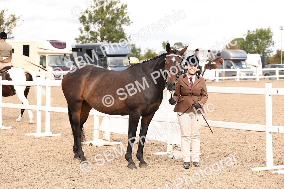 SBM_14636 - Class 208 - IH Veteran Horse