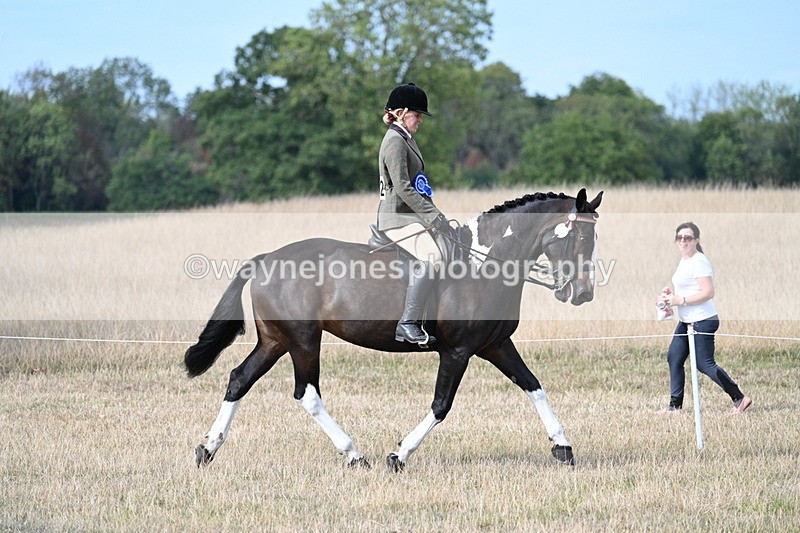 WJ7_7653 - Ridden Championship