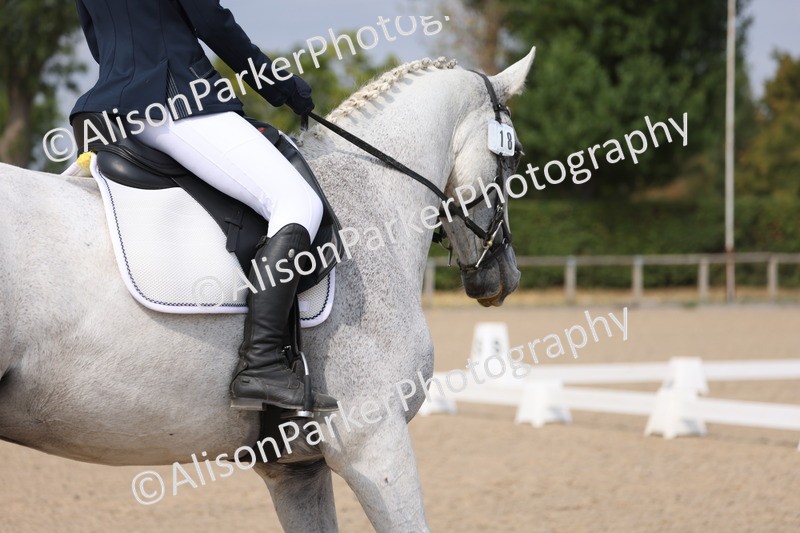 20250819-1563 - Class 5 - Novice 3