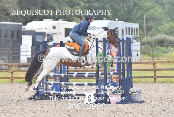 JAC_3900 - CLASS 4 Senior British Novice/ 90cm Open