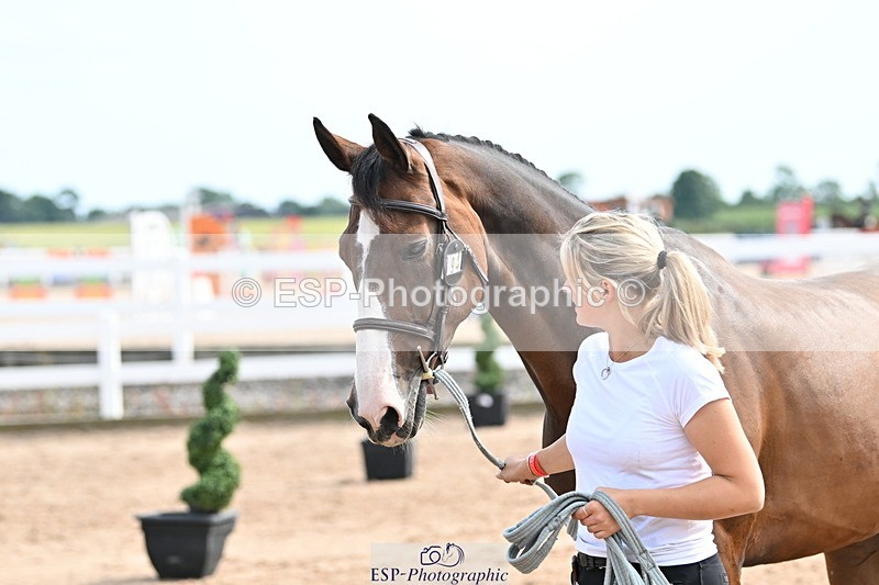 240717A-162024-03424 - Trot Up 4pm to 5pm