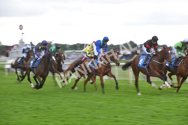yr24092021r6-11 - Race 6 4.25pm William Hill Pick Your Places Stakes