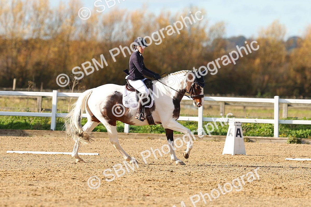 SBM_001142 - Novice 5