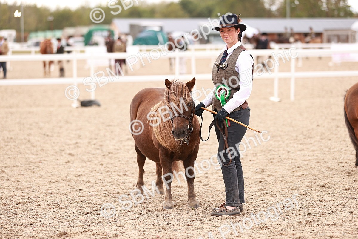 SBM_16941 - Class 415 - Horse-Pony Judge would most like to take home
