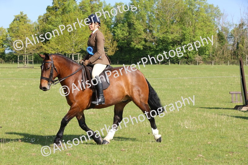 20250427-0603 - Class 17 - Novice Showing