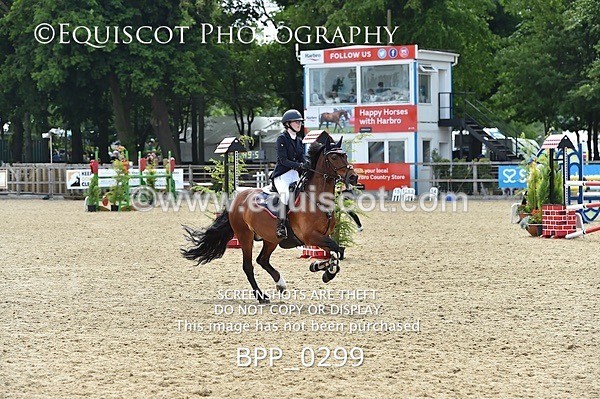 BPP_0299 - RHS 2019 Selection - *Just some random spectator shots so Lucky Dip if you are there!