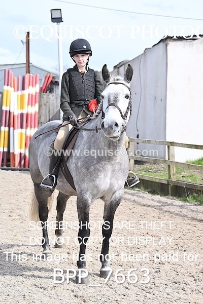 BPP_7663 - RING 1  (RIDDEN HORSES / IN HAND / VETERAN ETC)