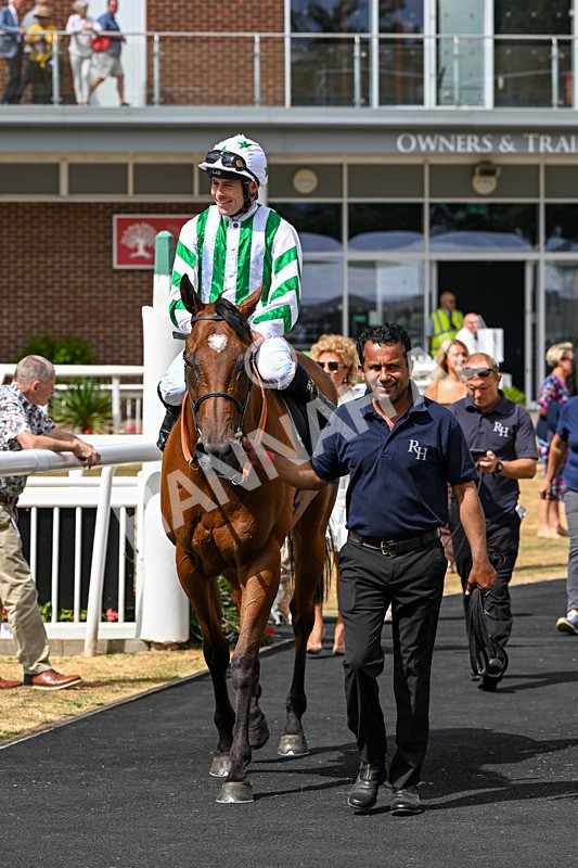 010826-Race 2-Witch Hunter-2323 - Race 2 14.08pm William Hill Summer Cup Handicap