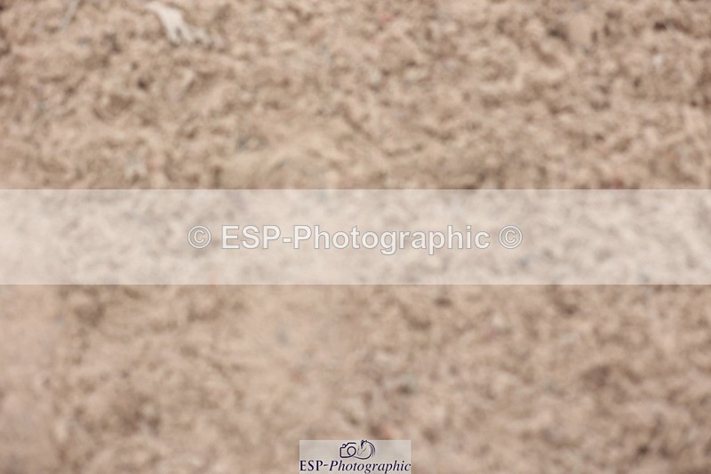 241101A-150802-02828 - FRI Cls 7 Grade B&C Champ Qualifier