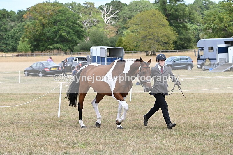 WJ6_5990 - Class 19 In-hand Veterans (Uploaded correct folder)