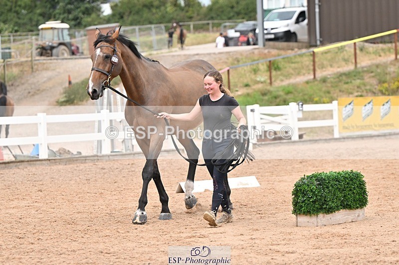 250716-162003-02573 - Trot Up 3.30 to 4.30