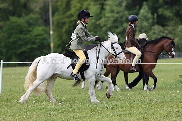 IMG_2659 - Working Hunter