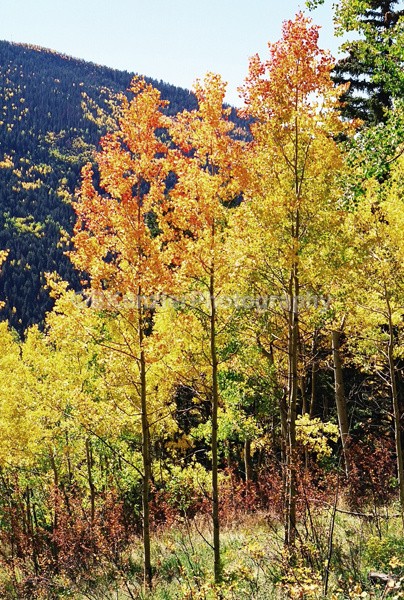  - Colorado