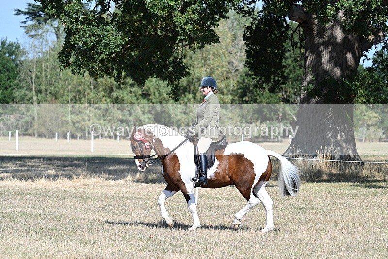 WJ7_3233 - Class 8 Ridden Tack & Turnout
