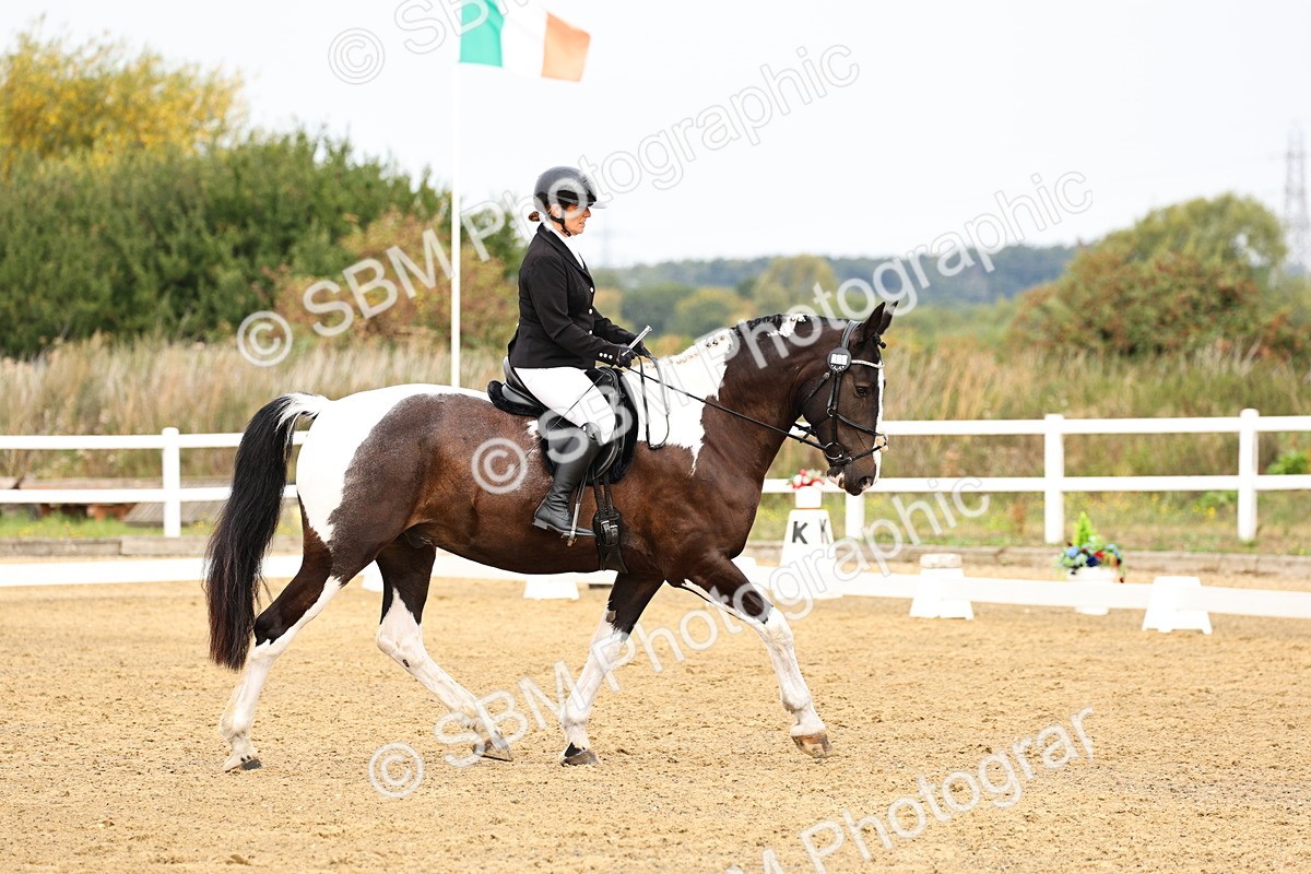 SBM_012213 - Class 2 - Prelim 5