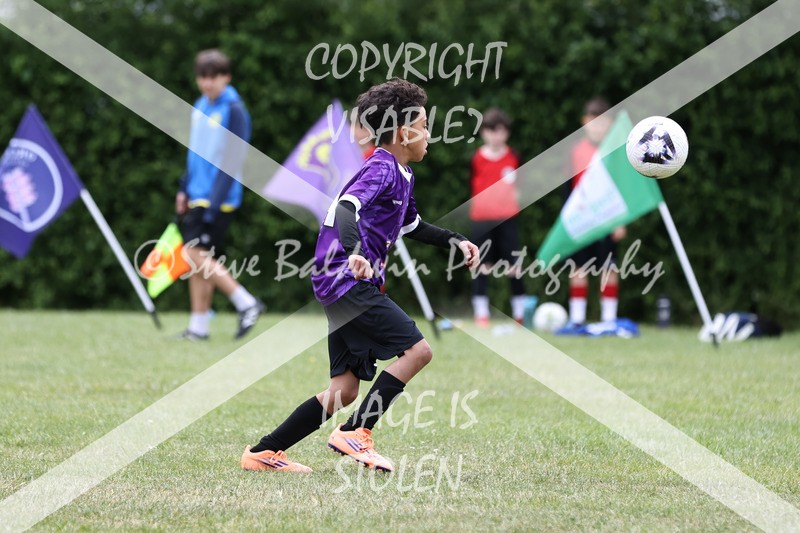 1DX30825 - Brook Field V Goddard Park