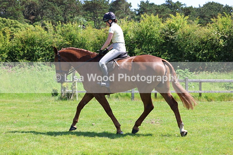 3E7A8078 - Working Hunter Championship