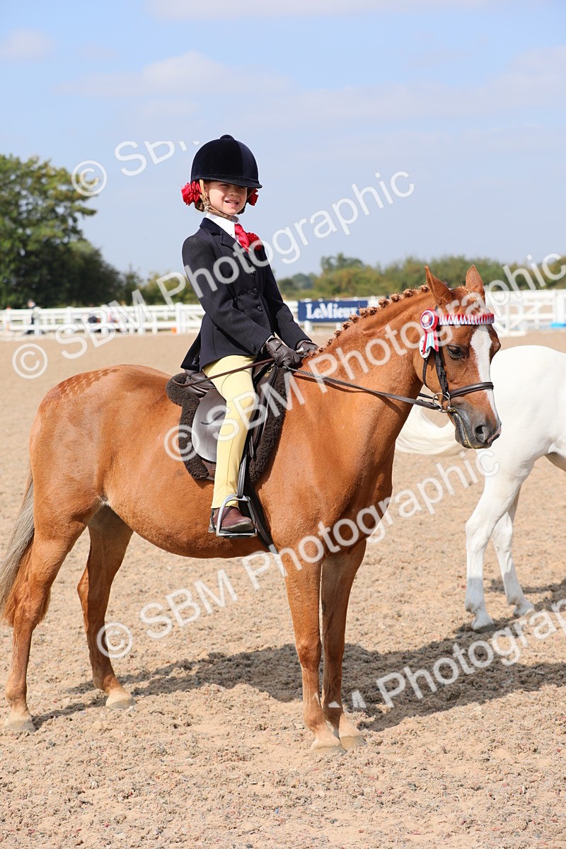 SBM_14741 - Class 310 First Ridden Pony