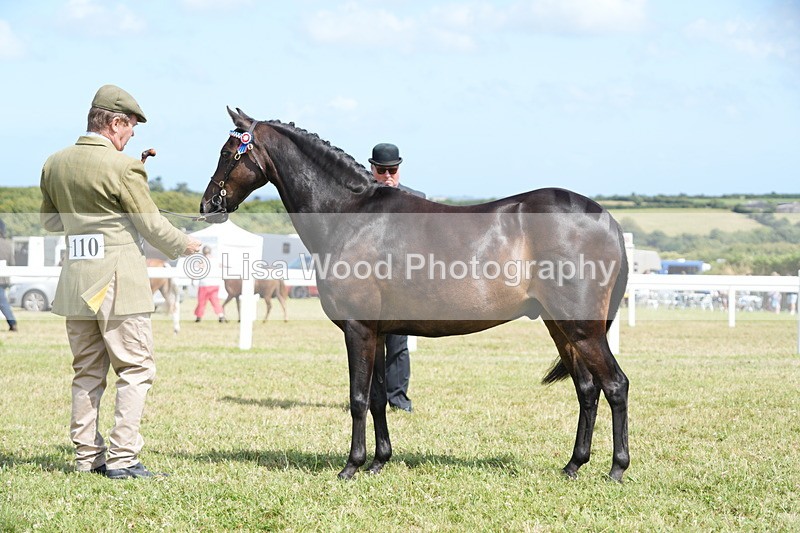 DSC07365 - Class 69: NPS Show Pony 4 years and over