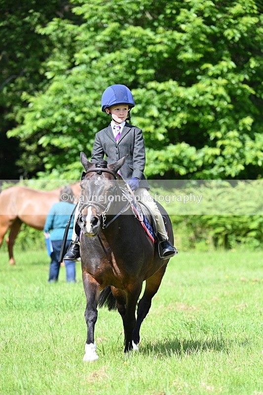 WJ7_1056 - Class 11 Condition & Turnout