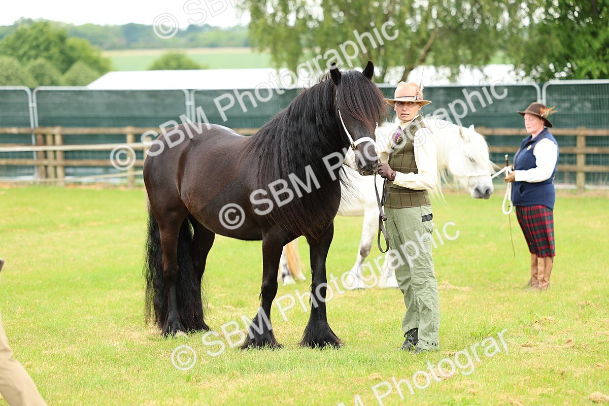 SBM_00552 - Class 58-67 - M&M Non Welsh Pony In hand