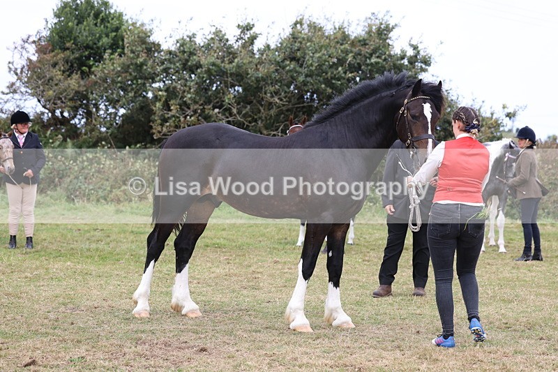 3E7A4224 - Class 15: Two Year Olds