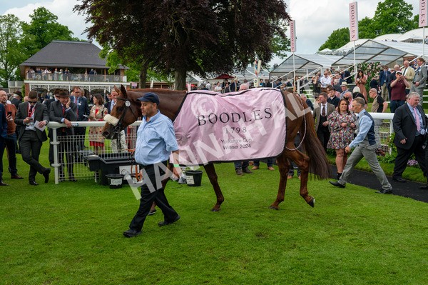 170524-Race 4-Giavellotto-8892 - Race 4 3.45pm Boodles Yorkshire Cup Stakes